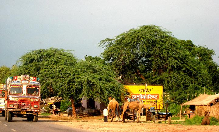 India_11Aug2007 270 